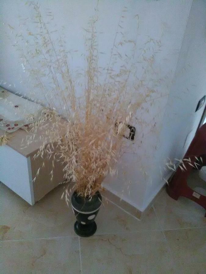 Lindita'S Seaview Appartment Vlorë エクステリア 写真